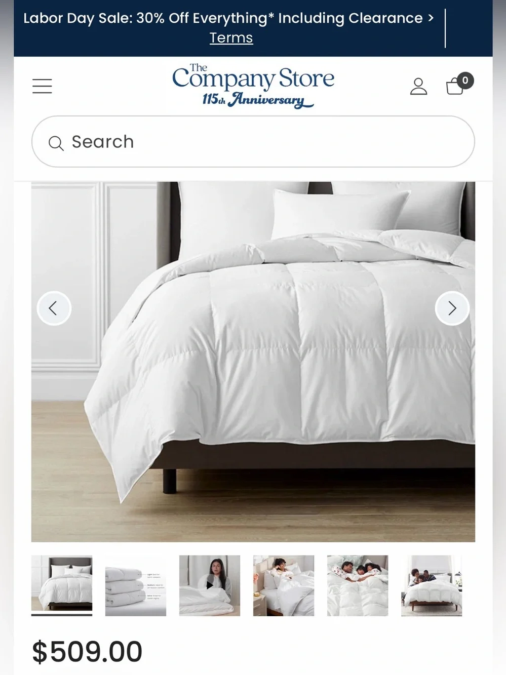 Legends Hotel Alberta medium warmth down comforter